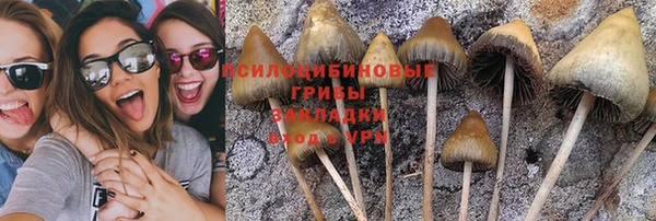 трава Кукмор