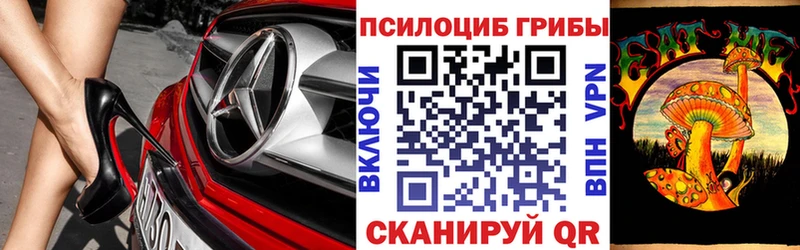 Купить закладки  Канаш  Галлюциногенные грибы мухоморы 